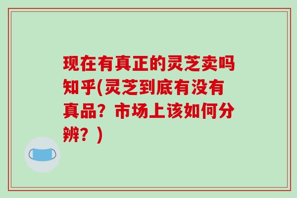 现在有真正的灵芝卖吗知乎(灵芝到底有没有真品？市场上该如何分辨？)