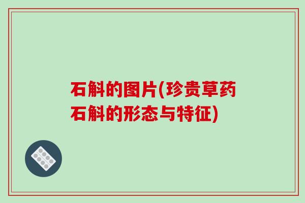 石斛的图片(珍贵草药石斛的形态与特征)