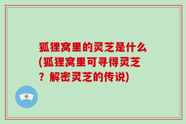 狐狸窝里的灵芝是什么(狐狸窝里可寻得灵芝?解密灵芝的传说)