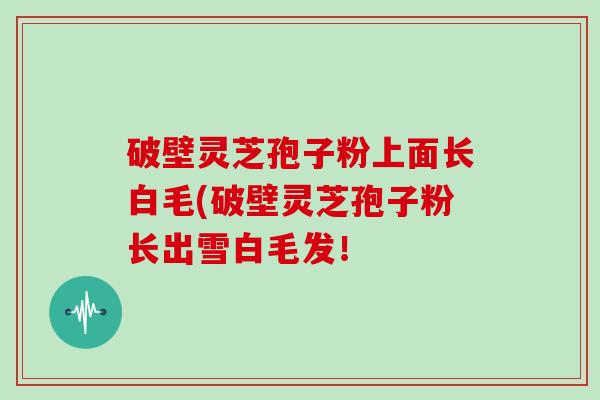 破壁灵芝孢子粉上面长白毛(破壁灵芝孢子粉长出雪白毛发!