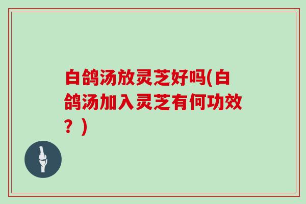 白鸽汤放灵芝好吗(白鸽汤加入灵芝有何功效?)
