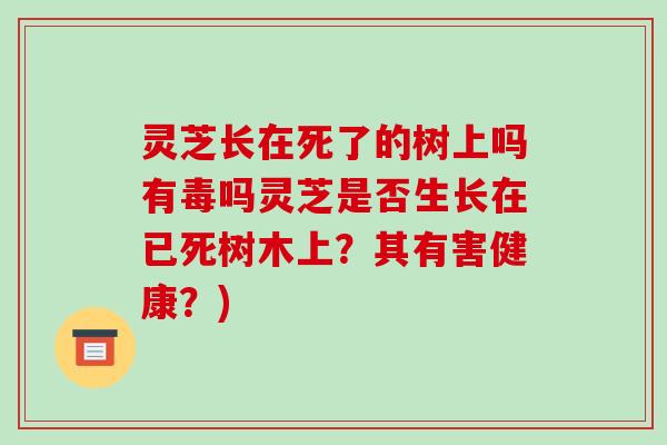 灵芝长在死了的树上吗有毒吗灵芝是否生长在已死树木上?其有害健康?)