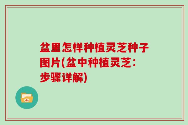 盆里怎样种植灵芝种子图片(盆中种植灵芝:步骤详解)