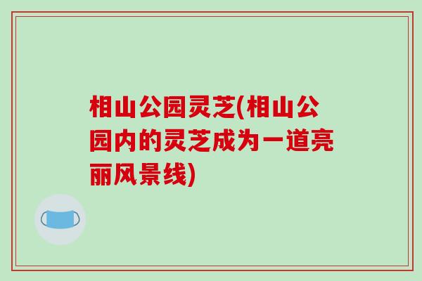 相山公园灵芝(相山公园内的灵芝成为一道亮丽风景线)