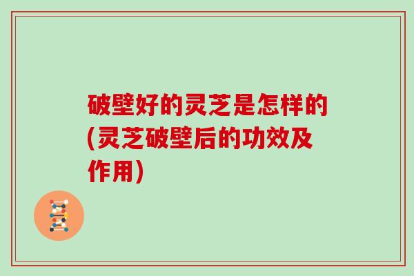 破壁好的灵芝是怎样的(灵芝破壁后的功效及作用)