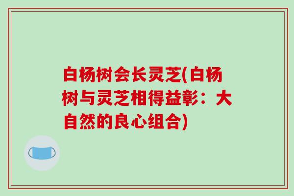 白杨树会长灵芝(白杨树与灵芝相得益彰:大自然的良心组合)