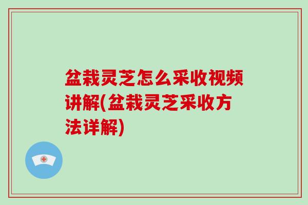 盆栽灵芝怎么采收视频讲解(盆栽灵芝采收方法详解)