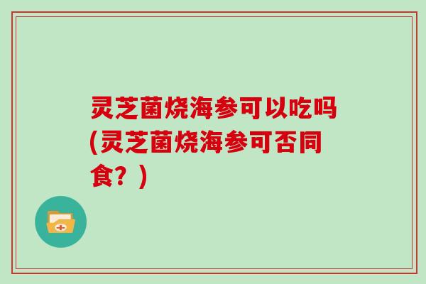灵芝菌烧海参可以吃吗(灵芝菌烧海参可否同食？)