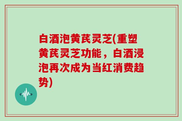 白酒泡黄芪灵芝(重塑黄芪灵芝功能，白酒浸泡再次成为当红消费趋势)