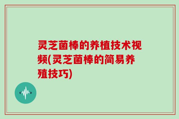 灵芝菌棒的养植技术视频(灵芝菌棒的简易养殖技巧)