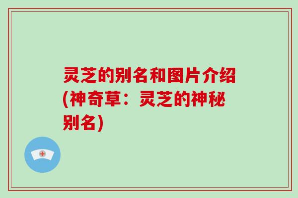 灵芝的别名和图片介绍(神奇草:灵芝的神秘别名)