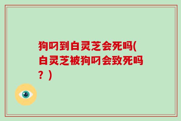 狗叼到白灵芝会死吗(白灵芝被狗叼会致死吗?)
