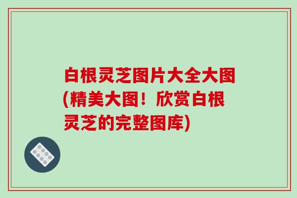 白根灵芝图片大全大图(精美大图！欣赏白根灵芝的完整图库)