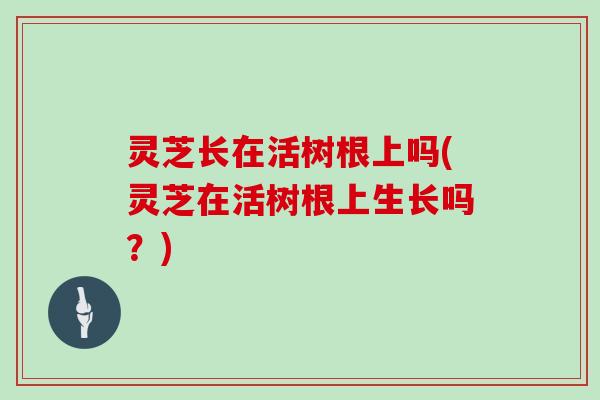灵芝长在活树根上吗(灵芝在活树根上生长吗?)