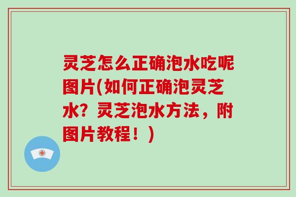 灵芝怎么正确泡水吃呢图片(如何正确泡灵芝水?灵芝泡水方法,附图片教程!)