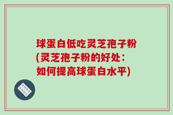球蛋白低吃灵芝孢子粉(灵芝孢子粉的好处：如何提高球蛋白水平)