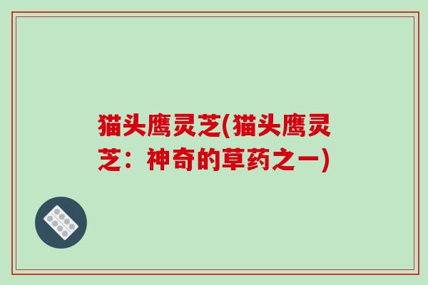 猫头鹰灵芝(猫头鹰灵芝:神奇的草药之一)
