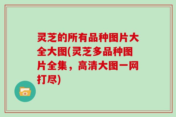 灵芝的所有品种图片大全大图(灵芝多品种图片全集,高清大图一网打尽)