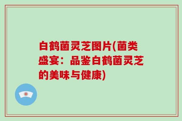 白鹤菌灵芝图片(菌类盛宴:品鉴白鹤菌灵芝的美味与健康)