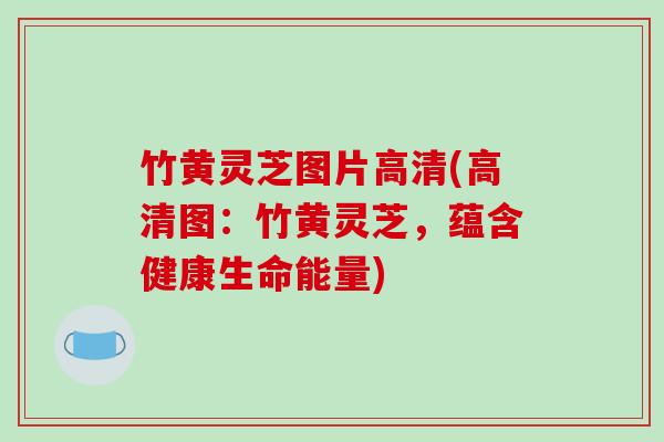 竹黄灵芝图片高清(高清图：竹黄灵芝，蕴含健康生命能量)