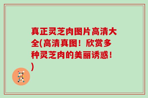 真正灵芝肉图片高清大全(高清真图!欣赏多种灵芝肉的美丽诱惑!)