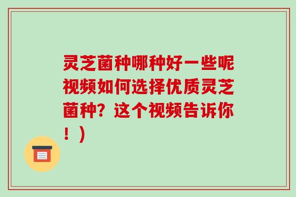 灵芝菌种哪种好一些呢视频如何选择优质灵芝菌种？这个视频告诉你！)