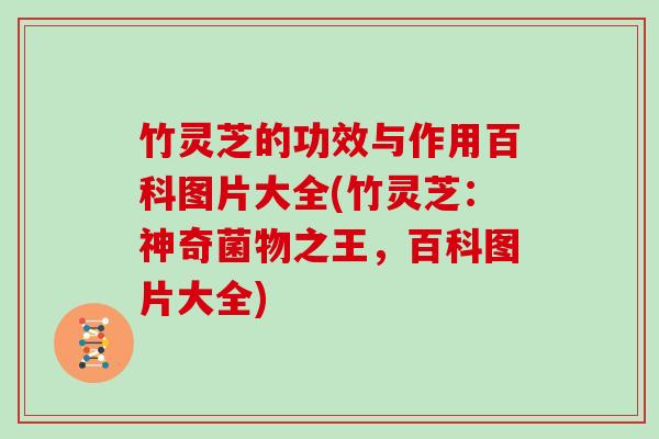 竹灵芝的功效与作用百科图片大全(竹灵芝:神奇菌物之王,百科图片大全)