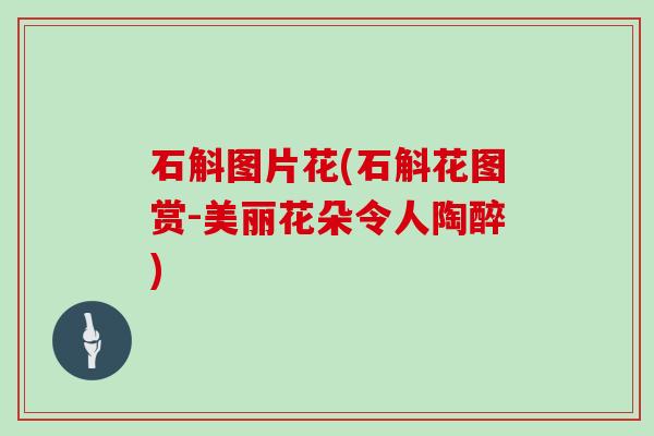 石斛图片花(石斛花图赏-美丽花朵令人陶醉)