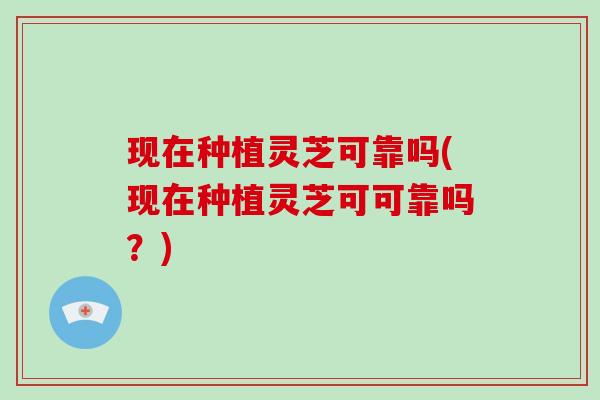 现在种植灵芝可靠吗(现在种植灵芝可可靠吗？)