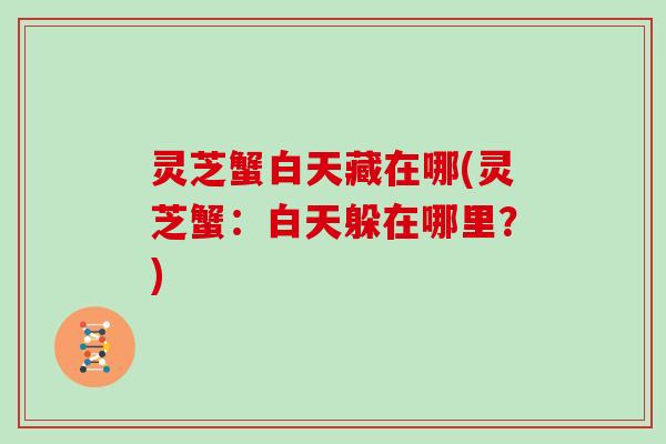 灵芝蟹白天藏在哪(灵芝蟹:白天躲在哪里?)