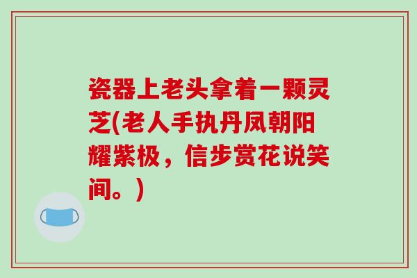 瓷器上老头拿着一颗灵芝(老人手执丹凤朝阳耀紫极,信步赏花说笑间。)