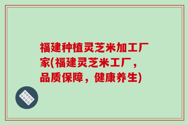 福建种植灵芝米加工厂家(福建灵芝米工厂，品质保障，健康养生)