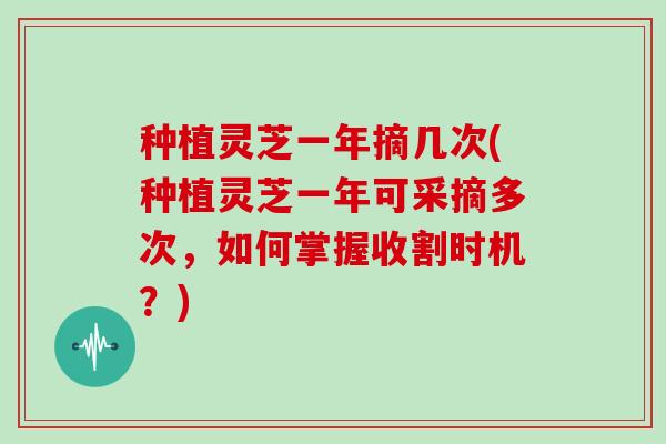 种植灵芝一年摘几次(种植灵芝一年可采摘多次,如何掌握收割时机?)