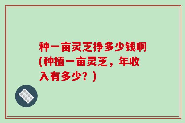 种一亩灵芝挣多少钱啊(种植一亩灵芝,年收入有多少?)