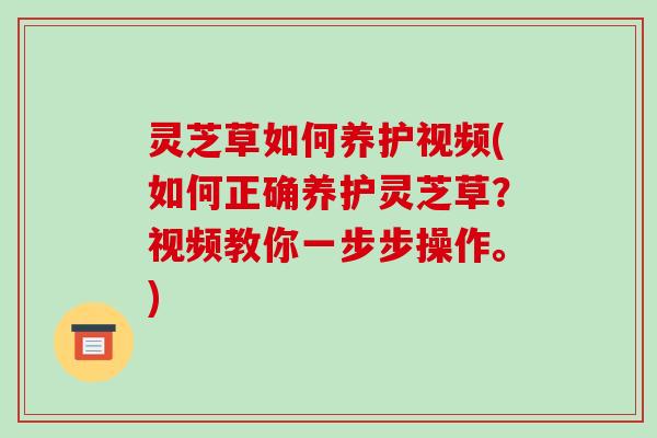 灵芝草如何养护视频(如何正确养护灵芝草?视频教你一步步操作。)