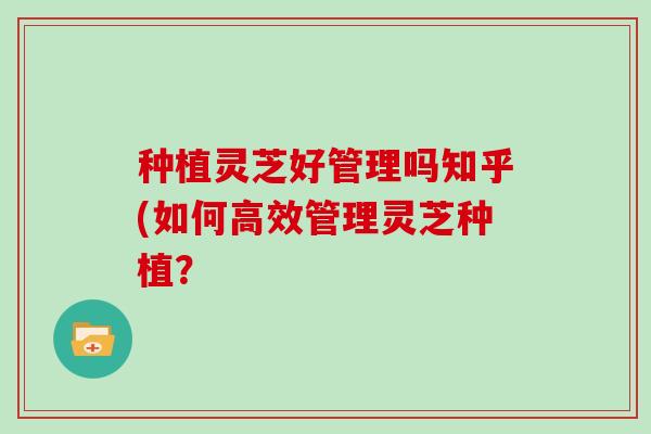 种植灵芝好管理吗知乎(如何高效管理灵芝种植？