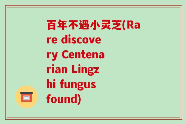 百年不遇小灵芝(Rare discovery Centenarian Lingzhi fungus found)