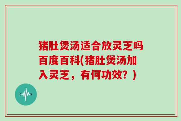 猪肚煲汤适合放灵芝吗百度百科(猪肚煲汤加入灵芝,有何功效?)