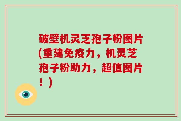 破壁机灵芝孢子粉图片(重建免疫力,机灵芝孢子粉助力,超值图片!)
