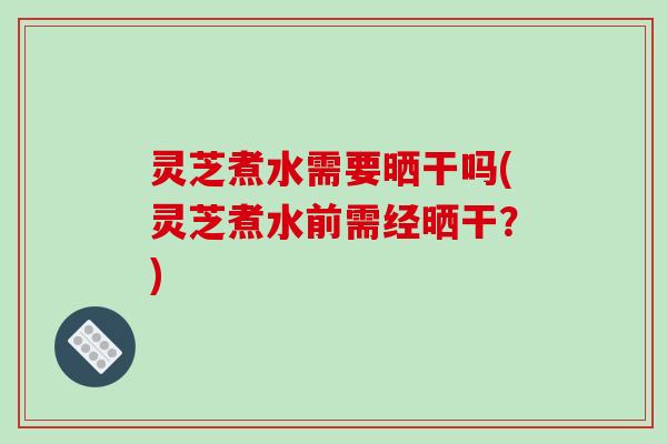 灵芝煮水需要晒干吗(灵芝煮水前需经晒干？)