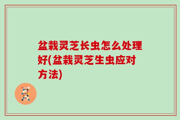 盆栽灵芝长虫怎么处理好(盆栽灵芝生虫应对方法)