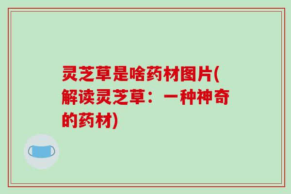 灵芝草是啥药材图片(解读灵芝草:一种神奇的药材)