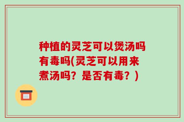 种植的灵芝可以煲汤吗有毒吗(灵芝可以用来煮汤吗?是否有毒?)