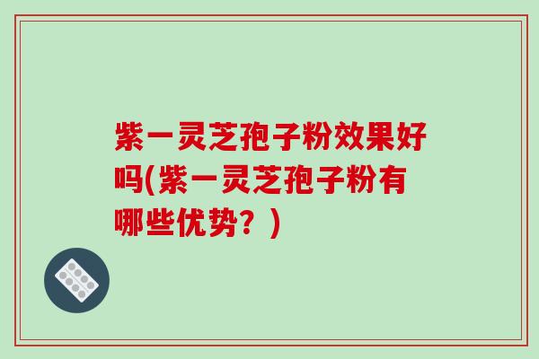 紫一灵芝孢子粉效果好吗(紫一灵芝孢子粉有哪些优势?)