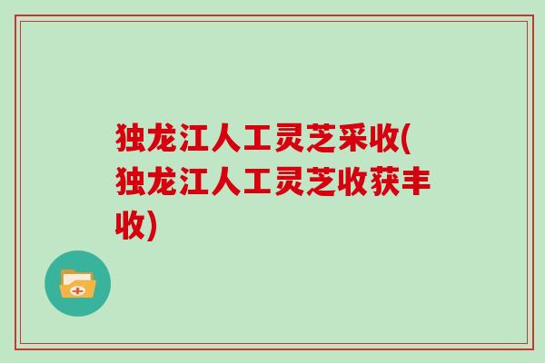 独龙江人工灵芝采收(独龙江人工灵芝收获丰收)