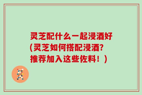 灵芝配什么一起浸酒好(灵芝如何搭配浸酒？推荐加入这些佐料！)