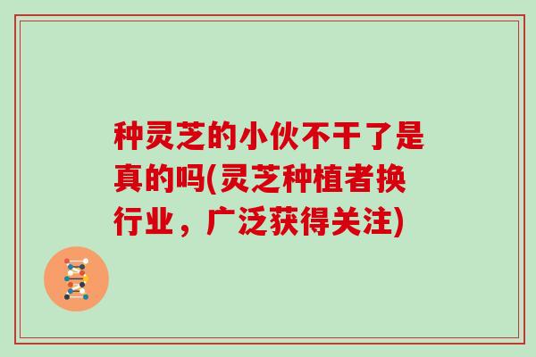 种灵芝的小伙不干了是真的吗(灵芝种植者换行业，广泛获得关注)