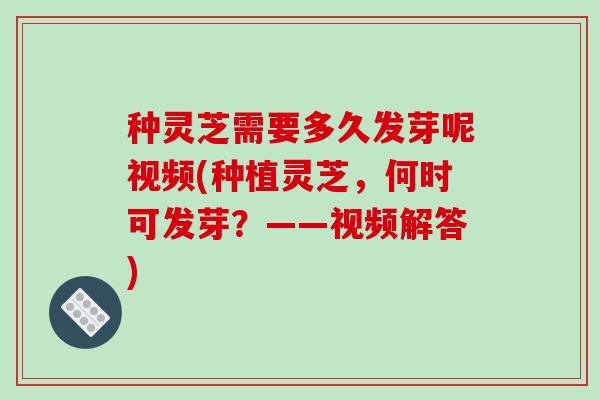 种灵芝需要多久发芽呢视频(种植灵芝,何时可发芽?——视频解答)