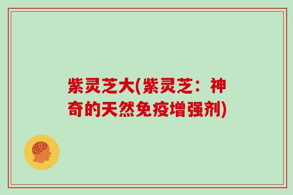 紫灵芝大(紫灵芝:神奇的天然免疫增强剂)