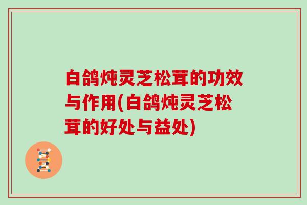 白鸽炖灵芝松茸的功效与作用(白鸽炖灵芝松茸的好处与益处)